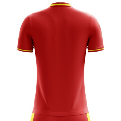 2024-2025 Spain Flag Home Concept Football Shirt - Adult Long Sleeve