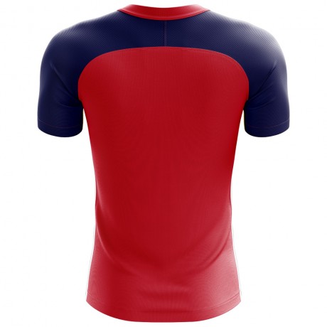 2024-2025 Norway Flag Concept Football Shirt - Baby