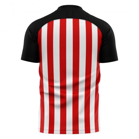 2024-2025 Sunderland Home Concept Football Shirt (Flanagan 12)