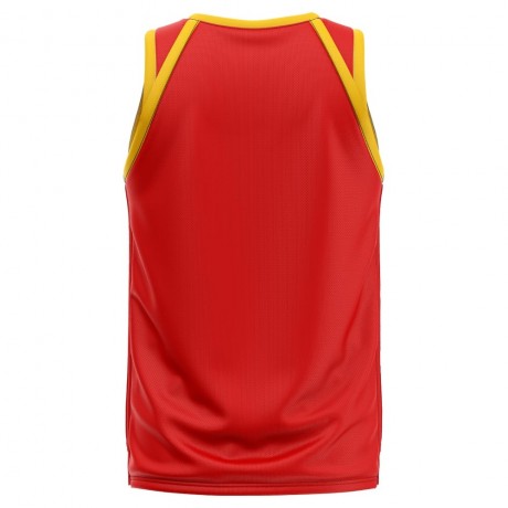 Spain Home Concept Basketball Shirt