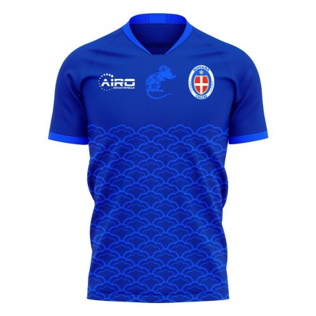 Novara 2024-2025 Home Concept Football Kit (Airo)